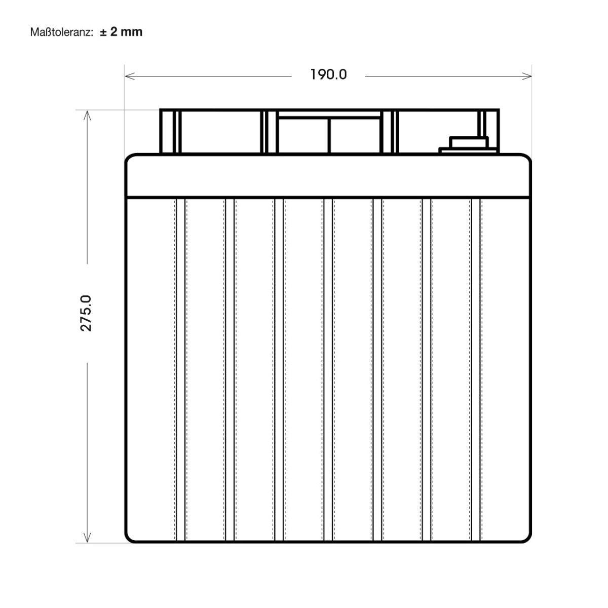 BIG E-Drive GEL 6V 225Ah Traktionsbatterie