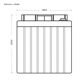 BIG E-Drive GEL 6V 225Ah Traktionsbatterie